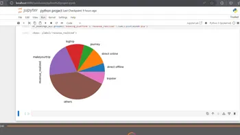 Portfolio - Nidhi Saini | Codebasics