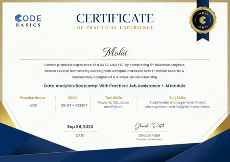 Portfolio - Mohit Bishnoi | Codebasics