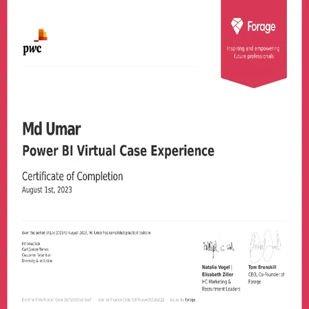 Power BI Virtual Case Experience
