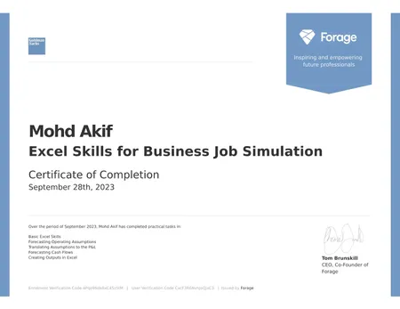 Excel Skills for Business Job Simulation