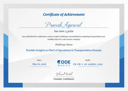 1st Place – Codebasics Resume Project Challenge #13