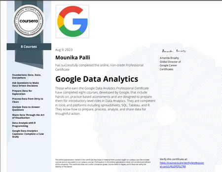 Google Data Analytics
