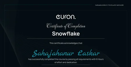 Snowflake Master