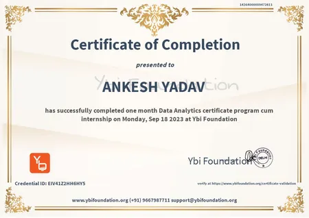 Data Analytics Certificate Program Cum Internship