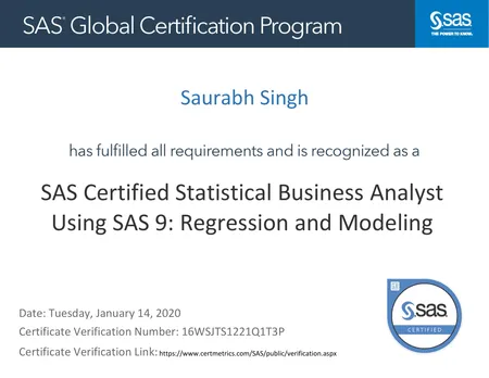 SAS Statistical Business Analyst