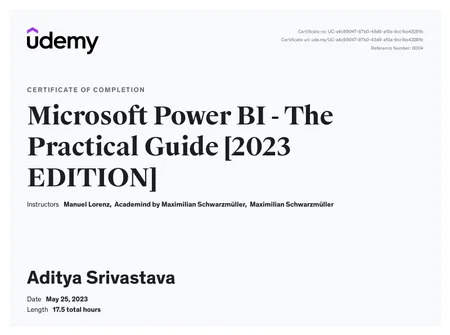 Microsoft Power BI - The Practical Guide 2024
