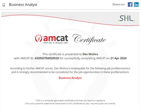 business analyst