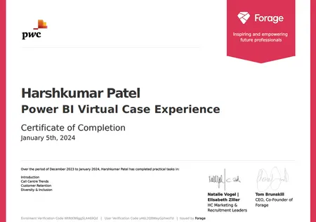 Power BI Virtual Case Experience