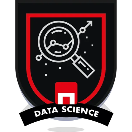 Data Scientist