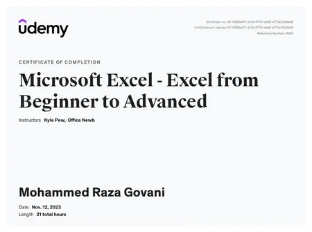Microsoft Excel - Excel from Beginner to Advanced - Udemy