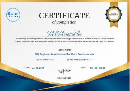 SQL Beginner to Advanced For Data Professionals