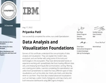 IBM Visualization foundation