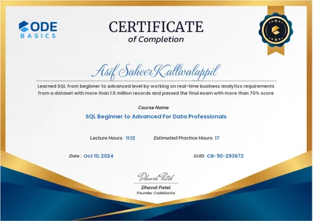 SQL Beginner to Advanced For Data Professionals