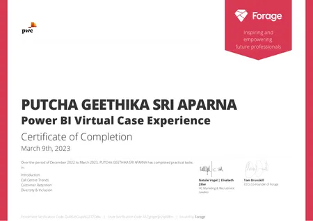 PWC-Power BI Virtual Case Experience