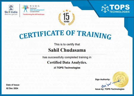 Data Analyst
