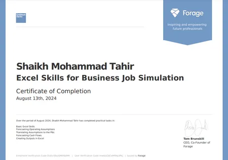 Goldman Sachs - Excel Skills for Business Job Stimulation