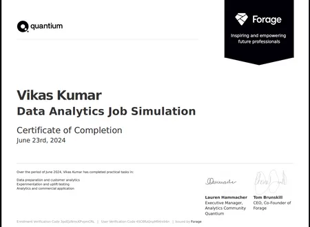 Data Analytics Job Simulation