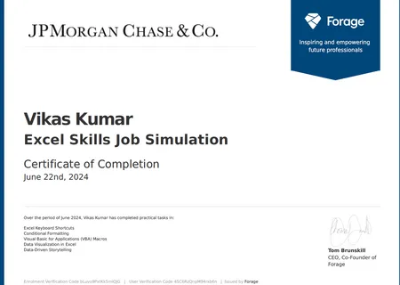 Excel Skills Job Simulation