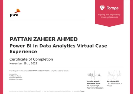Data Analytics Virtual Case Experience