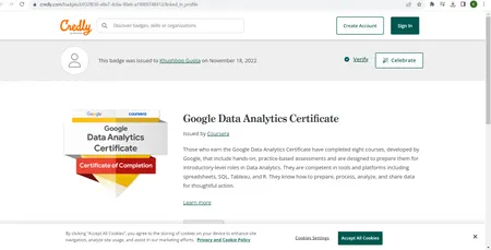 Google Data Analytics Certificate