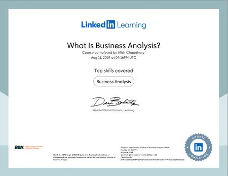 What is Business Analysis