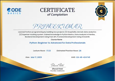 Python: Beginner to Advanced For Data Professionals