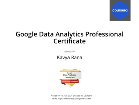 Google Data Analytics Professional Certificate