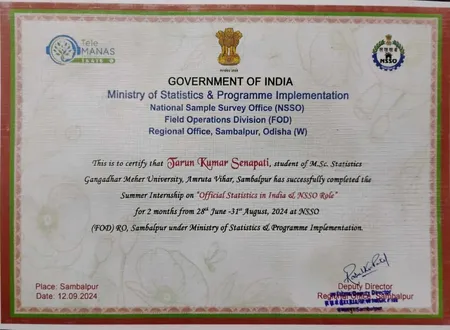 Internship Completion Certificate-NSSO