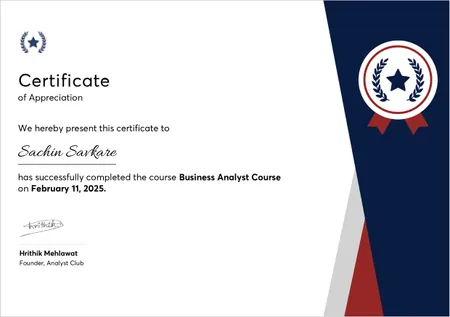 Business Analyst