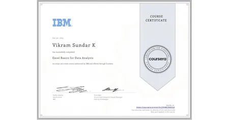 Excel Basics for Data Analysis - Coursera
