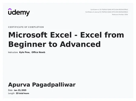 Microsoft Excel - Excel from Beginner to Advanced