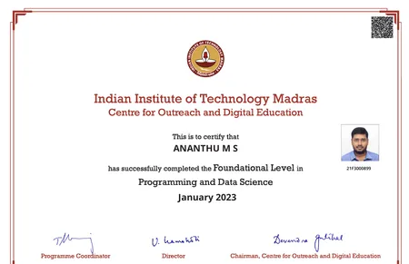 Foundation certificate in programming and data science