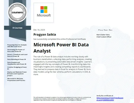 Microsoft Power BI Analyst