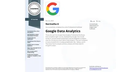 Google Data Analytics