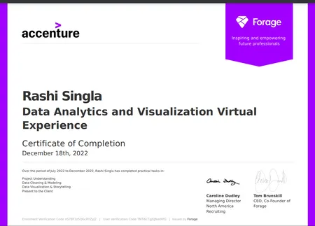Data Analytics and Visualization Virtual Experience