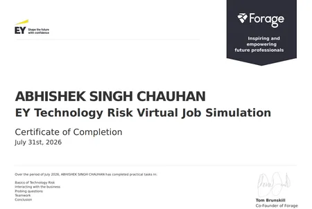 EY Risk  Job Simulation