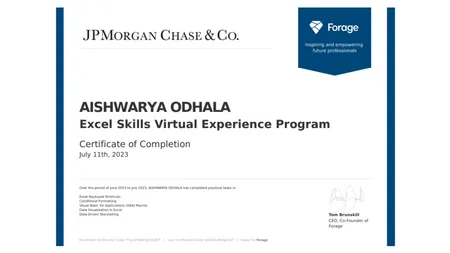 JPMorgan Chase & Co Excel Program