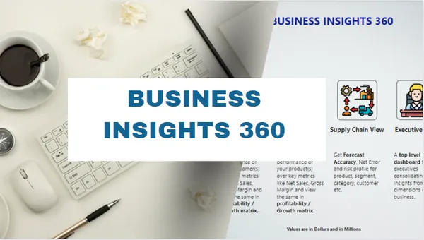 Business Insights 360