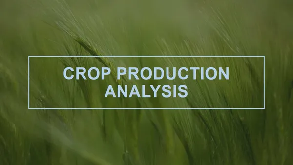 Crop Production Analysis