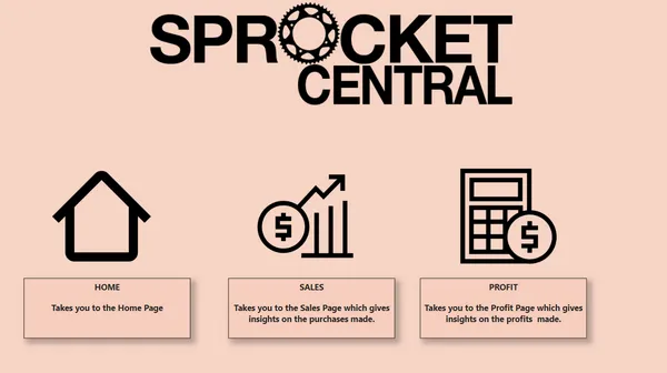 Sprocket Central Sales Insights
