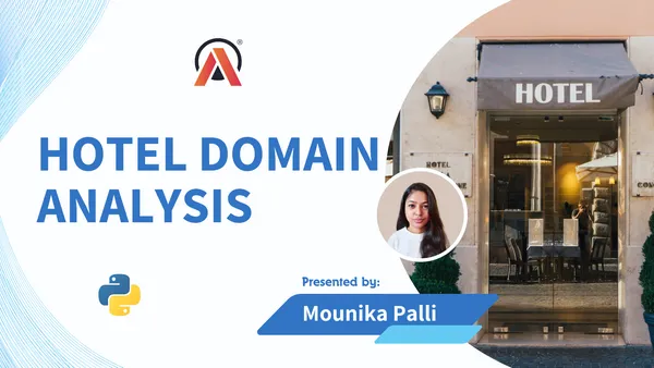 Hotel Domain Analysis