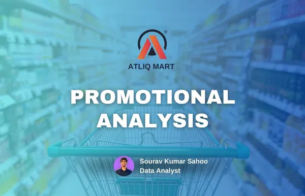 Promotional Campaign Insights
