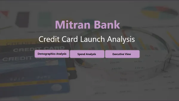 Strategic Insights for Mitron Bank's New Credit Card Line