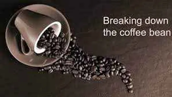 Coffee Sales Insights