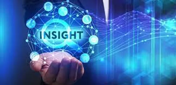 Business Insights 360