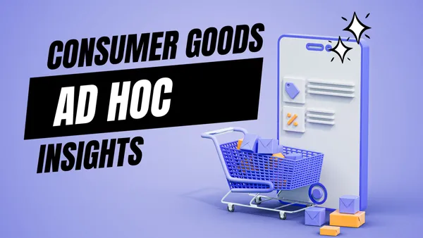 Consumer-Ad-Hoc-Insights
