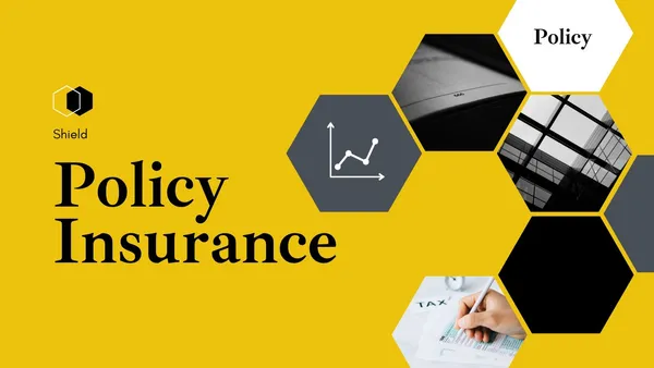 Shield Insurance Analysis