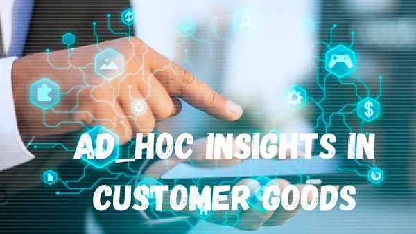 Ad_Hoc Insights in Customer Goods