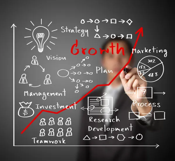 Business Insights 360