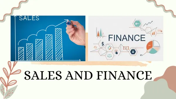 Sales and Finance Report